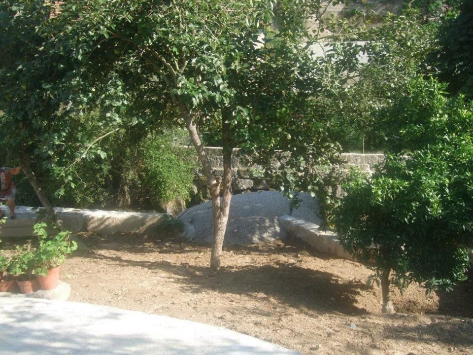 Vila Casa Moinhos Do Rio Paredes  Exteriér fotografie